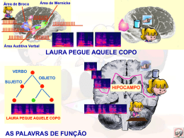 Neurobiologia da Comunicação
