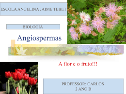 Angiospermas fisiologia e anatomia