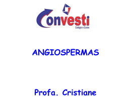 angiospermas - C`` Convesti