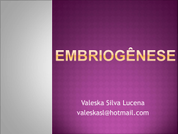 Embriogênese