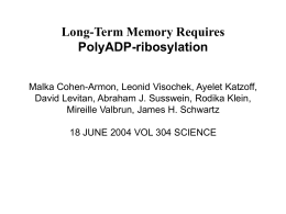 Long-Term Memory Requires PolyADP-ribosylation