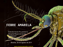 Febre Amarela - Paulo Roberto Margotto