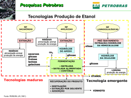 Pesquisas Petrobras