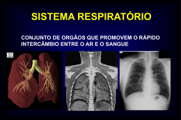 sistema respiratório esqueleto das conchas nasais