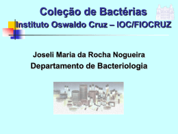 Coleção de Bactérias do Instituto Oswaldo Cruz