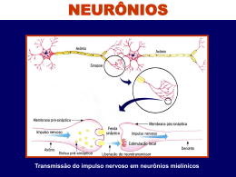neurônio