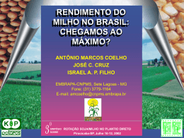 RENDIMENTO DO MILHO NO BRASIL: CHEGAMOS AO MÁXIMO...?