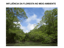 a influência das florestas sobre o vento