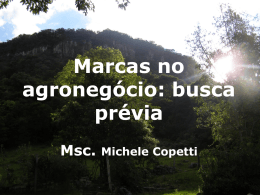Curso básico: Marcas Michele Copetti - NUTE
