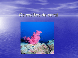 Os recifes de coral