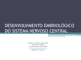 Desenvolvimento embriológico do sistema nervoso central