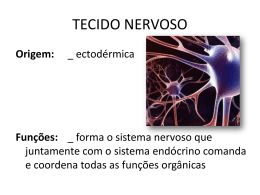 tecido nervoso Turma: M3S-RQ Professor: Frederico Moreira Lara