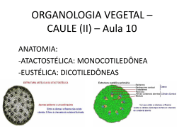 ORGANOLOGIA VEGETAL – CAULE (II) – Aula 10