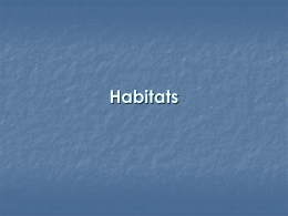 Habitats - Pcalternativo