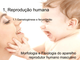 1. Reprodução humana