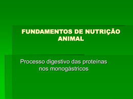 O processo digestivo das proteínas nos monogastricos.