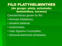 FILO PLATYHELMINTHES (do grego: platy, achatado