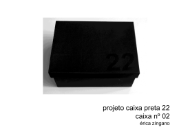 projeto caixa preta 22 caixa nº 02 érica zíngano