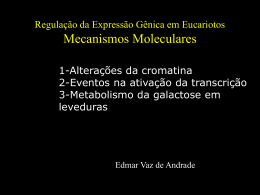 Mecanismos Moleculares de Regulação em Organismos Eucarióticos