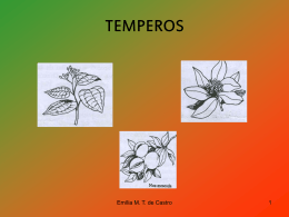 tempero 2 - WordPress.com
