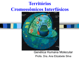 Aula 1- Organização da Cromatina e Domínios Cromossômicos