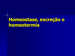 Homeostase excreção e homeotermia