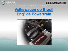 Motores TOTAL FLEX da VW 23 10 08.pps