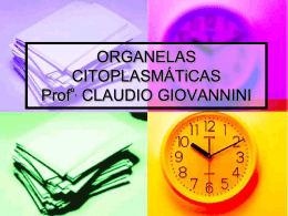 ORGANELAS CITOPLASMÁTICAS (cont.) Profa. Erica