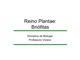 Reino Plantae_Briófitas 02-09
