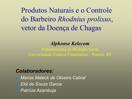 Meliaceae - Universidade Federal Fluminense