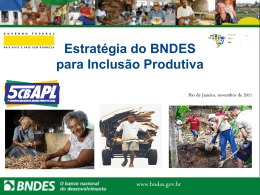 (BNDES) - Eduardo Lins de Carvalho