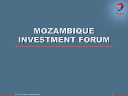 MOZAMBIQUE INVESTMENT FORUM
