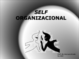 Self Organizacional