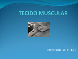 tecido muscular estriado 2014