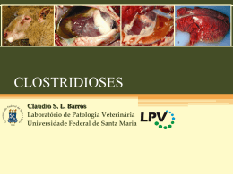 Clostridioses