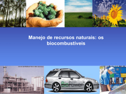 Manejo de recursos naturais – Os biocombustíveis