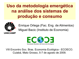 Uso da metodologia emergética na análise dos sistemas