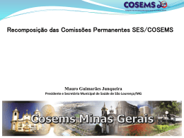 201108_recomposicao_comissoes - Cosems-MG