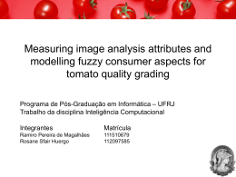 Measuring image analysis attributes and modelling fuzzy