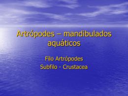 Artrópodes – mandibulados aquáticos