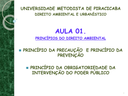 AULA_01_-_PRINCÍPIOS (2)_ - Direito Unimep