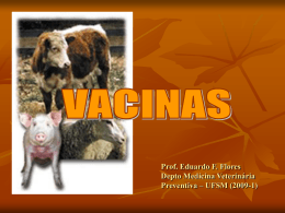 Vacinas – Aula 6 2013 - Setor de Virologia UFSM
