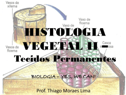 Histologia Vegetal II - 2ºs anos EM - 3º trimestre