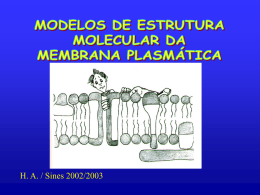 Modelo da Membrana