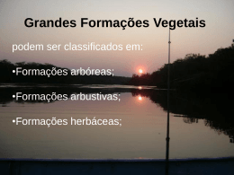 Brasil vegetação - Somar Concursos