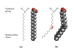 Aula9-Lipídeos+membranas
