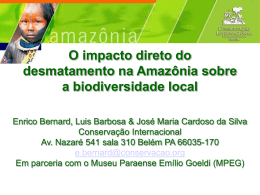 O Impacto Direto do Desmatamento na Amazônia sobre a