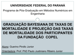 Guerino2008 - Universidade Federal do Paraná