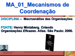 MA_01_Mecanismos_de_Coordenacao