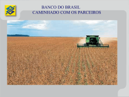 Bco do Brasil - caminhando com os parceiros